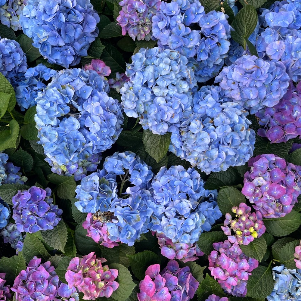 Meet your Posher, Natalia